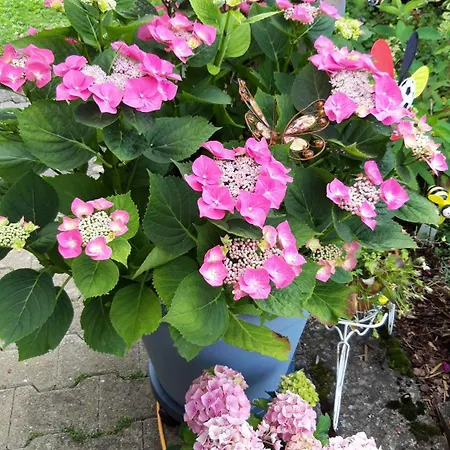 Schwaebische Alb
