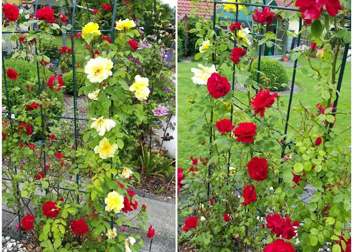 Schwaebische Alb * Gomadingen